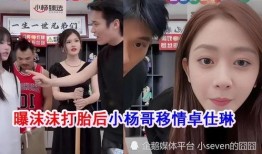 网红事件爆料最新,揭秘娱乐圈惊人内幕